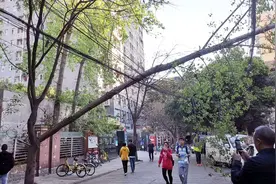 太吓人咯！成都大风吹上热搜第二 最高风速达20m/s视频封面