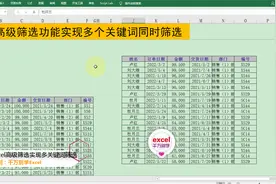Excel高级筛选功能实现多个关键词同时筛选，简单到没朋友！视频封面