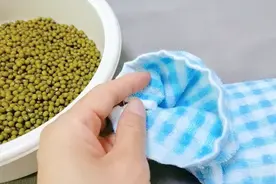 毛巾对折缝几针，填充炒熟的绿豆，没想到这么厉害，全家人抢着用视频封面