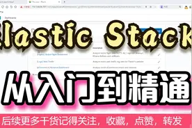 Elastic Stack 从入门到精通 Elastic Stack 从入门到实战视频封面