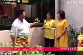 狗肝菜又叫青蛇仔，这样做，竟有清热解毒的功效|我爱返寻味0928视频封面