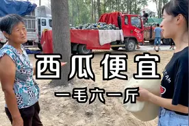 静静来到扶沟西瓜批发市场，5000斤西瓜卖了八百元，瓜农有话说！视频封面