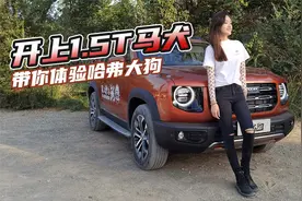 车若初见：“外刚内柔”1.5T兼顾家用 试驾哈弗大狗马犬版视频封面