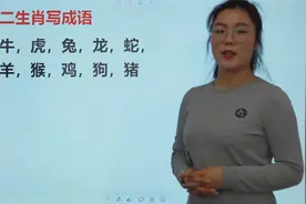 成语猜猜看：用12生肖写成语，你能写出12个以上吗？视频封面