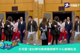 太可爱！全红婵与陈伟霆热聊不小心脱离队伍视频封面