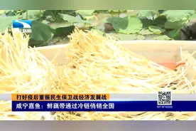 湖北特产鲜达天下！咸宁嘉鱼鲜藕带通过冷链俏销全国视频封面