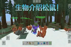 缘生解说我的世界：29秒带你了解松鼠，迷雾森林中的小可爱！