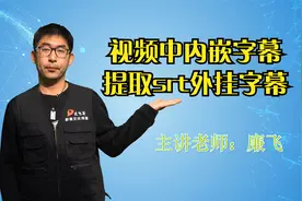 视频中内嵌字幕提取的硬字幕OCR识别提取为外挂字幕(srt格式)软件