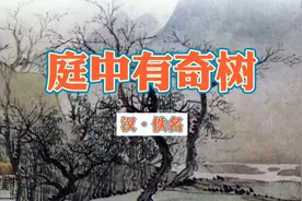《庭中有奇树》原文加赏析视频封面