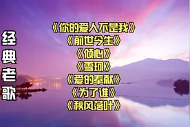 《你的爱人不是我》《前世今生》《爱的奉献》《秋风落叶》视频封面