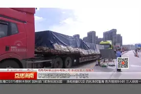 海口三港9时恢复通航 12日下午起或再停航视频封面