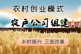 探索农村创业模式-农户公司组建视频封面