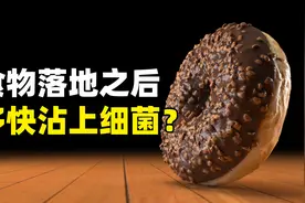 掉在地上的食物，多快会沾上细菌？视频封面