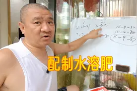 高钾水溶肥自已配制的方法分享，使用这种计算方法即可！视频封面