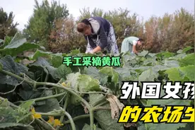 外国小姐姐农场生活的一天视频封面