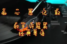 《痴心愿记取》--许冠英（人生，一半清醒，一半释然）视频封面