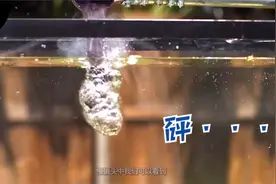 800度的热盐遇到水会发生什么？老外亲身实验，画面真有冲击力