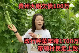 贵州大姐欠债100万，改行种菜年赚1700万，带领村民走上致富路！视频封面