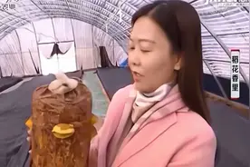 药用真菌桑黄已能人工培育，吸引了各地客商，还带动了贫困户就业视频封面