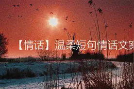 【文案】温柔短句情话文案视频封面