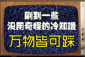 万物皆可踩（刷到一些没用奇怪的冷知识20）视频封面
