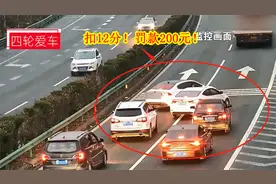 女司机跑高速任性停车、倒车，把马路当自己家了，结局很舒适视频封面