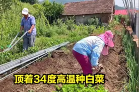 东北三伏天高温30多度，满村500多户没有安空调，热也愿意，为啥视频封面