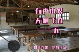 有声小说《大雁飞过》115与蓝嫣讨论全国谁的官最大视频封面