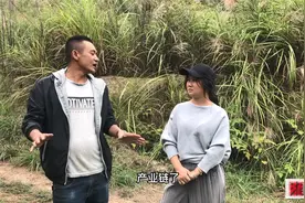 又一个特色养殖火了，7个月出栏，卖一次收入50万，门槛低利润高视频封面