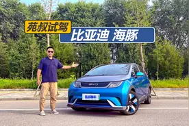 苑叔试驾比亚迪海豚，10万左右买纯电车型，它很值得选择视频封面