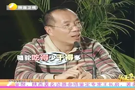 骆驼不喝水持续行走2周，不进食能持续行走1个月，这驼俑意义深刻视频封面