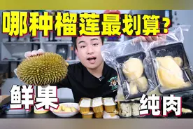 同样是榴莲，冻干VS纯肉VS鲜果VS果泥，哪一款最值得买？视频封面