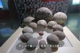 广东河源发现18000枚恐龙蛋，破世界纪录，被称为中华恐龙之乡