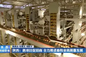 陕西：抓项目促招商 全力推进畜牧业高质量发展视频封面