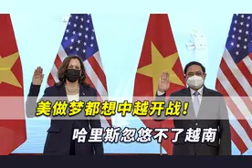 美做梦都想中越开战！哈里斯忽悠不了越南！它比美国想的聪明得多视频封面