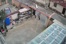 4岁孙子撑近3米木梯救奶奶，嘴上说不行一直使劲，2人臂力引热议视频封面