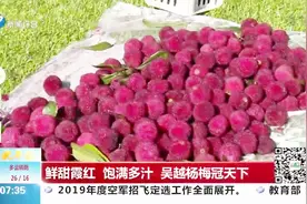 杨梅的功效太多竟还能预防中风抑制癌细胞，它正确的吃法你知道吗视频封面