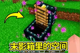 我的世界：要不是末影人带路还不知道末影箱里还有这么大的世界视频封面
