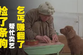乞丐捡到一条狗，带到街头卖艺赚翻了，狗子的身世很奇幻，剧情片视频封面