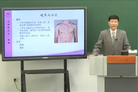 局部解刨学：3.1胸部—胸部的分区和表面解剖