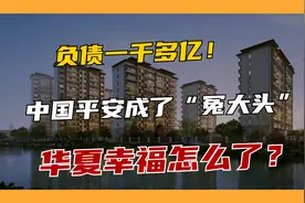 1013亿债务压顶，“套牢”中国平安，华夏幸福为什么沦为至此？视频封面