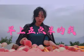 甘肃秦安果农村花直播卖桃，获得客户认可，她会成为全村的希望吗视频封面