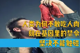 人为何不能吃人肉，原来是会触发一种疾病，致死率100%视频封面