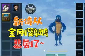妄想山海：新侍从金刚鹦鹉，刚到手就被封号！没法评测更多了