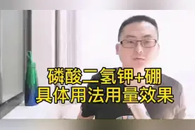 磷酸二氢钾和硼这样搭配，果树开花多结果多，还能防止畸形果裂果视频封面