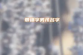 属虎锦字取名男孩名字大全视频封面