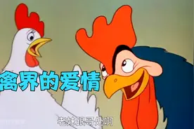 大公鸡追求小母鸡，家禽界齐喊俩人在一起，究竟结果如何？视频封面