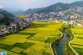四川古蔺 万亩油菜金灿灿 乌蒙腹地好春光视频封面