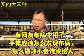 有网友布病中招了，平常应该怎么发现布病，怎么做才不会传染给人视频封面