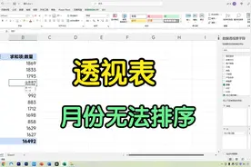 Excel透视表月份无法排序，看我2分钟解决！视频封面